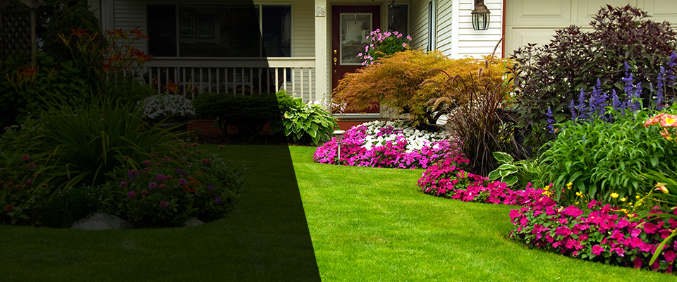 Okeana Landscapers