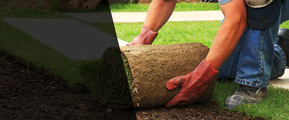Okeana Landscapers